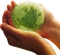 Semi-dedicated servers are environmentally friendly